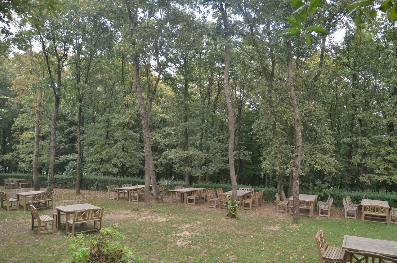 Green House Garden Park Hotel Cumhuriyet Extérieur photo