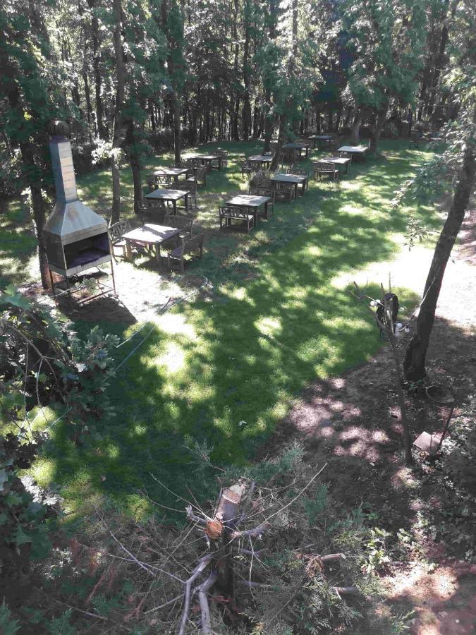 Green House Garden Park Hotel Cumhuriyet Extérieur photo
