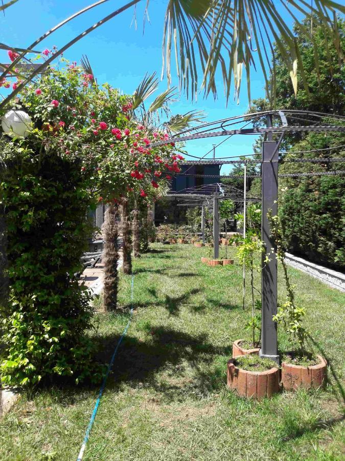Green House Garden Park Hotel Cumhuriyet Extérieur photo